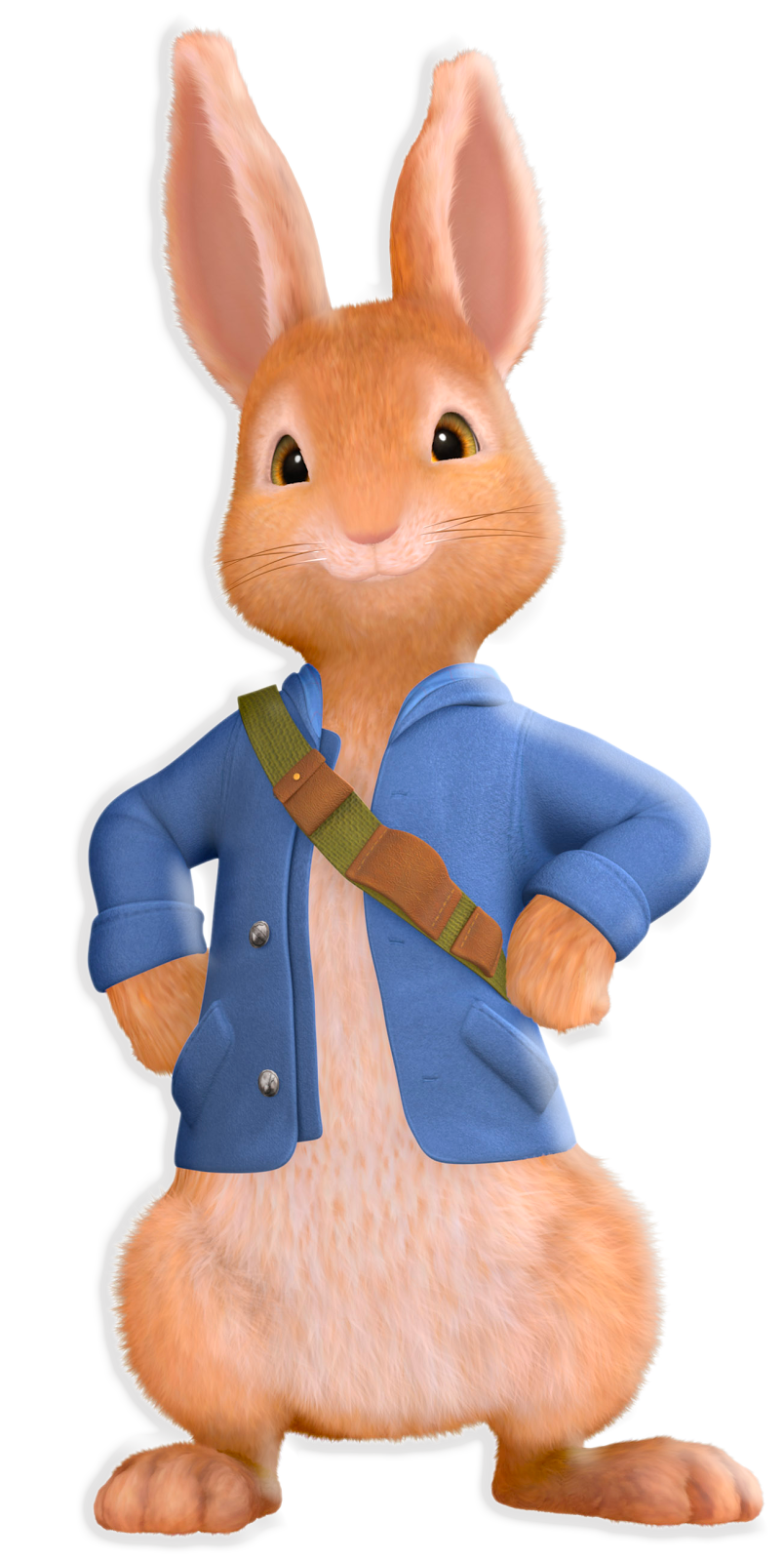 Mascottes à domicile pour anniverssaires enfants Nancy, lorraine