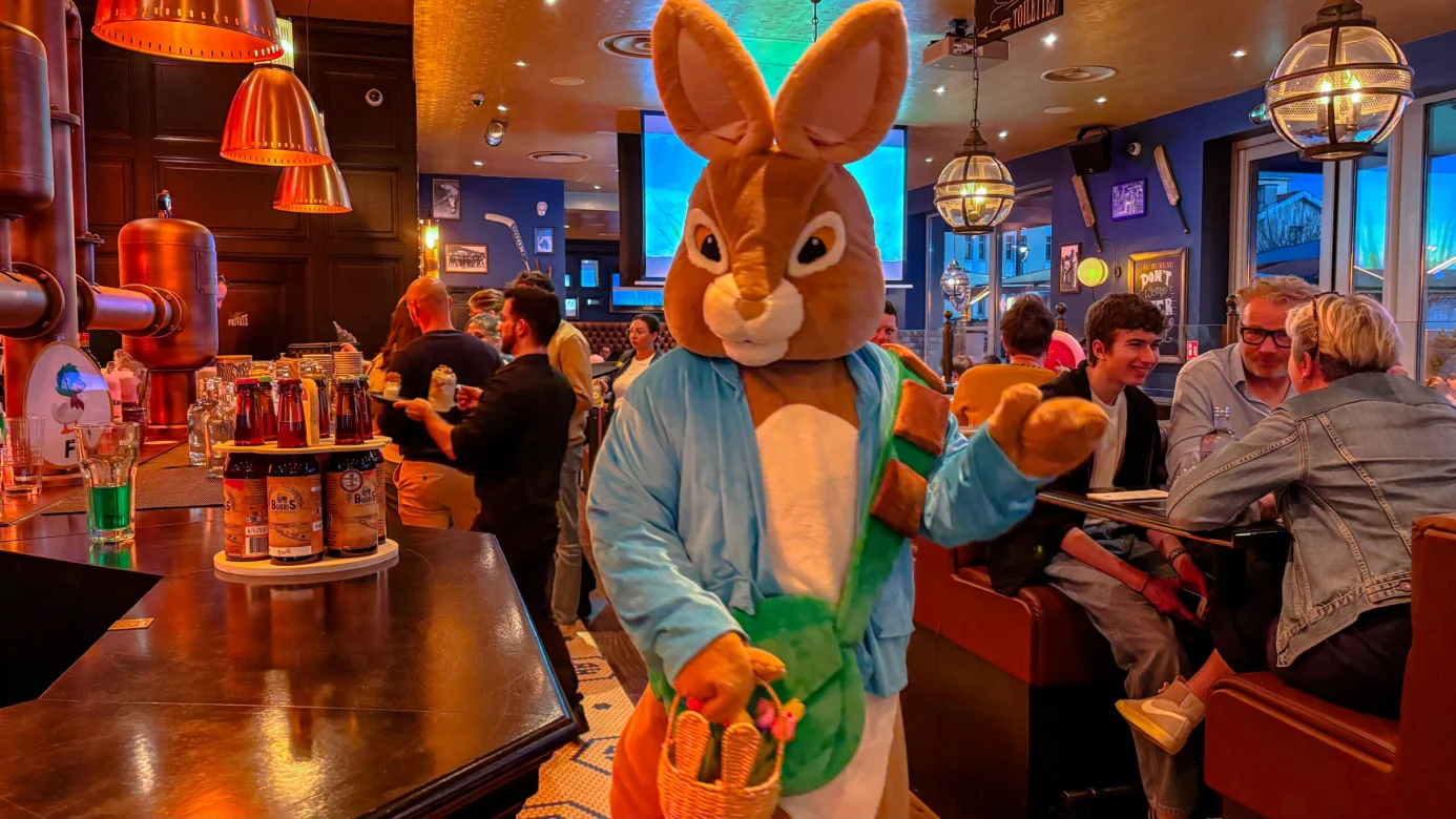 Mascottes à domicile pour anniversaire