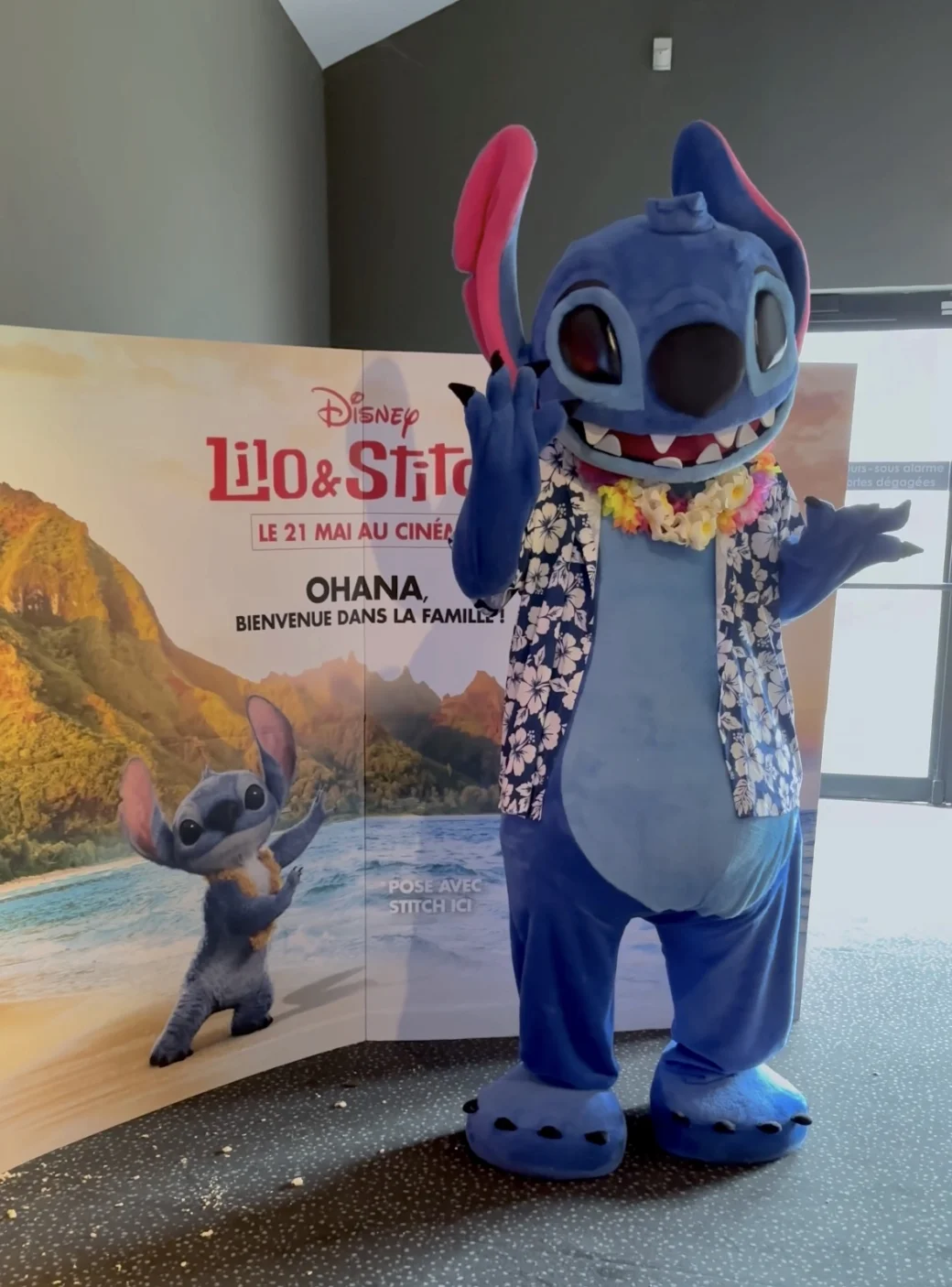 Mascottes à domicile pour anniversaire Nancy Metz